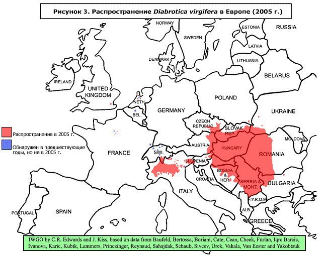 Карта распространения западного кукурузного корневого жука диабротики Diabrotica virgifera virgifera в Европе в 2005 г.