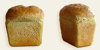 Кукурузно-пшеничный хлеб. Продукты питания из муки белозерной кукурузы по рецептам НПО "КОС-МАИС"