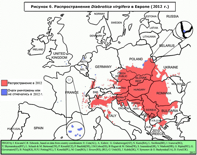 Карта распространения западного кукурузного корневого жука диабротики Diabrotica virgifera virgifera в Европе в 2012 г.